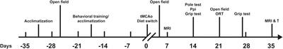 Automated Analysis of Stroke Mouse Trajectory Data With Traja